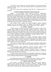 Finansų valdymas: UAB "Senasis Tomas" 4 puslapis