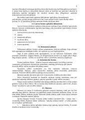 Finansų valdymas: UAB "Senasis Tomas" 8 puslapis