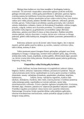 Fizinio aktyvumo formos paauglystėje 8 puslapis