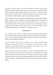 Fizinis aktyvumas 5 puslapis