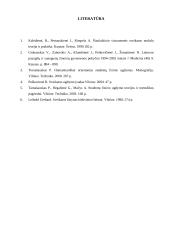 Fizinis aktyvumas. Fizinio aktyvumo įtaka sveikatai 13 puslapis