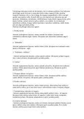 Fizinis ugdymas paauglystėje 5 puslapis