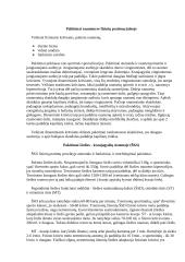 Fizinių pratimų įtaka organizmui 4 puslapis