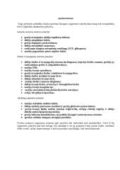 Fizinių pratimų įtaka organizmui 8 puslapis