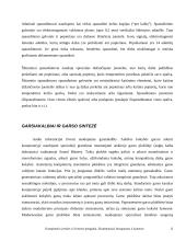 Fotoaparatai ir vaizdo kameros 12 puslapis