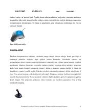 Fotoaparatai ir vaizdo kameros 6 puslapis