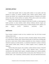 Fotoaparatai ir vaizdo kameros 8 puslapis