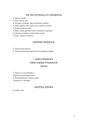Furšeto rengimas 7 puslapis