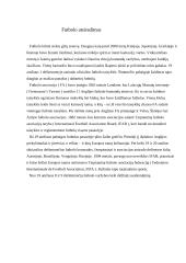 Futbolas visiems 2 puslapis