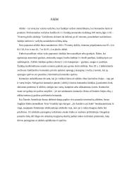 Futbolas visiems 3 puslapis