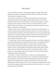 Futbolas visiems 4 puslapis