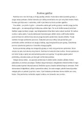 Futbolas visiems 8 puslapis