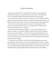 Futbolas visiems 9 puslapis