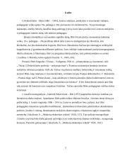 Gabrielės Petkevičaitės-Bitės pedagoginė veikla 2 puslapis