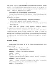 Gėlių dovanojimo etiketas 7 puslapis