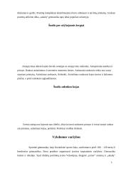 Gimnastika referatas 4 puslapis