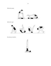 Gimnastikos ir aerobikos pratimai: metodika, poveikis 13 puslapis