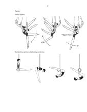 Gimnastikos ir aerobikos pratimai: metodika, poveikis 17 puslapis
