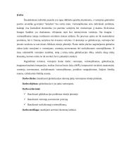 Globalizacija ir vartotojai: etiniai globalios rinkos iššūkiai 3 puslapis