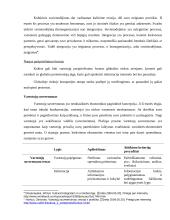 Globalizacija ir vartotojai: etiniai globalios rinkos iššūkiai 6 puslapis