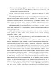 Greitumo lavinimas TaeKwonDo treniruotėse 4 puslapis