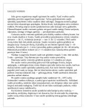 Grūdinimasis 10 puslapis