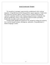 Grūdinimasis 13 puslapis