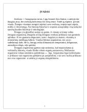 Grūdinimasis 2 puslapis