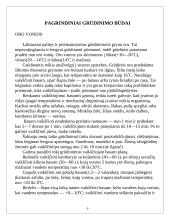 Grūdinimasis 6 puslapis