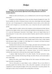 Hedges in gardens 2 puslapis