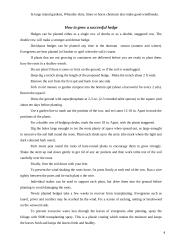 Hedges in gardens 3 puslapis