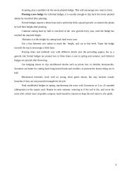 Hedges in gardens 4 puslapis