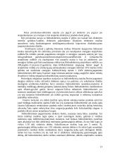 Hidroenergija 12 puslapis