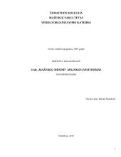 Įmonės aplinkos įvertinimas: UAB "Mažeikių mėsinė"