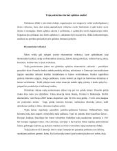 Įmonės išorinės aplinkos analizė: trąšų gamyba 2 puslapis