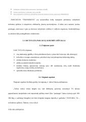 Įmonės kokybės vadyba: UAB "Tuvlita" 7 puslapis