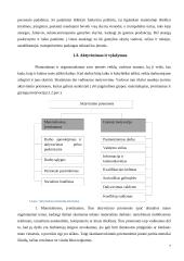 Įmonės materialiųjų išteklių valdymo ypatumai: fotografijos paslaugos UAB "Fotoexpress" 7 puslapis