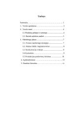 Įmonės steigimas ir verslo plano parengimas: UAB "Senelės vaišės" 2 puslapis