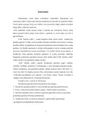 Įmonės steigimas ir verslo plano parengimas: UAB "Senelės vaišės" 3 puslapis