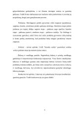 Įmonės steigimas ir verslo plano parengimas: UAB "Senelės vaišės" 8 puslapis