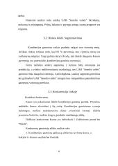 Įmonės steigimas ir verslo plano parengimas: UAB "Senelės vaišės" 10 puslapis