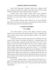 Įmonės veikla: UAB "Norfos mažmena" 12 puslapis