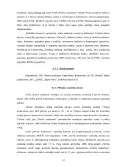 Įmonės veikla: UAB "Norfos mažmena" 13 puslapis
