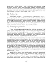 Informacijos technologijų efektyvumas vertės kūrimo grandinėje 13 puslapis