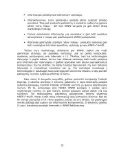 Informacijos technologijų efektyvumas vertės kūrimo grandinėje 15 puslapis