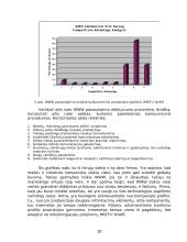 Informacijos technologijų efektyvumas vertės kūrimo grandinėje 16 puslapis