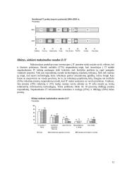 Informacinės technologijos ir ekonomika (Lietuvos atžvilgiu) 12 puslapis