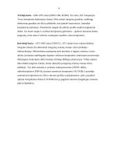 Informacinių technologijų ir kompiuterių raida 11 puslapis