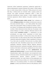 Informatikos mokslo objektas. Informacija ir informacinės sistemos 16 puslapis
