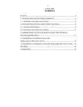 Intelektinė nuosavybė ir jos apmokėjimas 2 puslapis